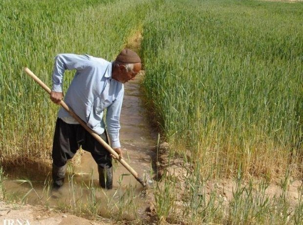 عضویت ۷۷ هزار خانوادار در صندوق بیمه کشاورزان لرستان