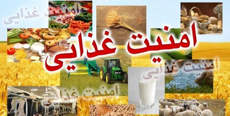 آغاز طرح ارتقای امنیت غذایی کودکان در لرستان