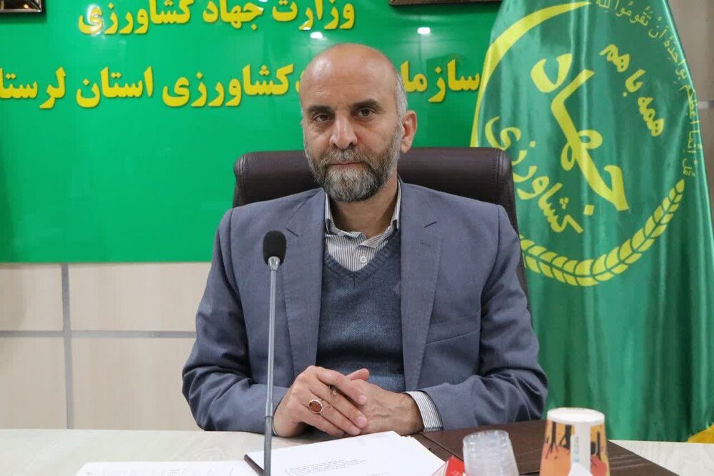 پرداخت ۷۰ درصد از طلب کاملیناکاران لرستان